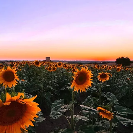 Bed & Breakfast Bastide Gaudonville