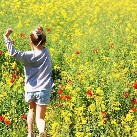 Bed & Breakfast Bastide Gaudonville