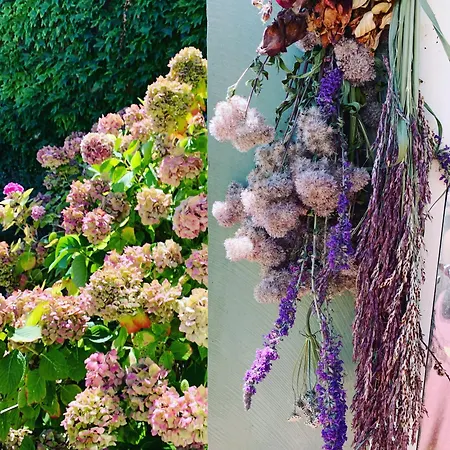 Bastide 住宿加早餐酒店 Gaudonville