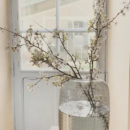 Bed & Breakfast Bastide 3*