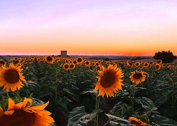 Bed & Breakfast Bastide Gaudonville