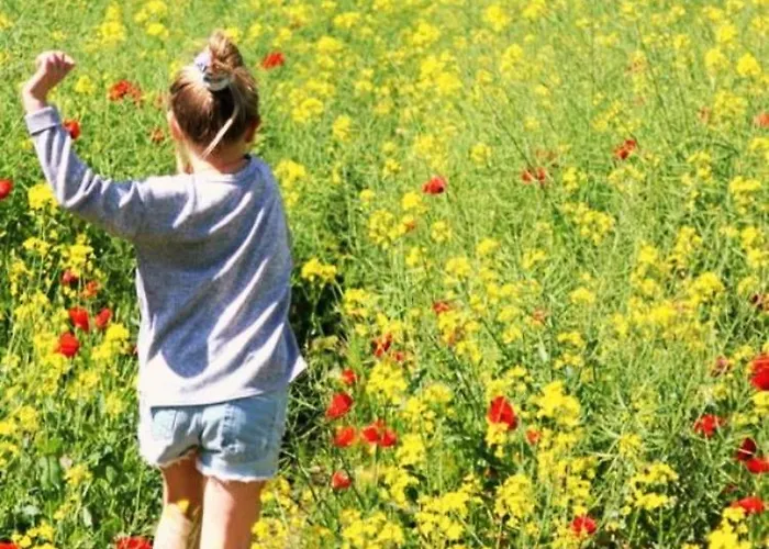 Bed & Breakfast Bastide Gaudonville