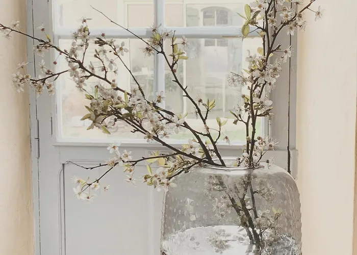 Bed & Breakfast Bastide 3*